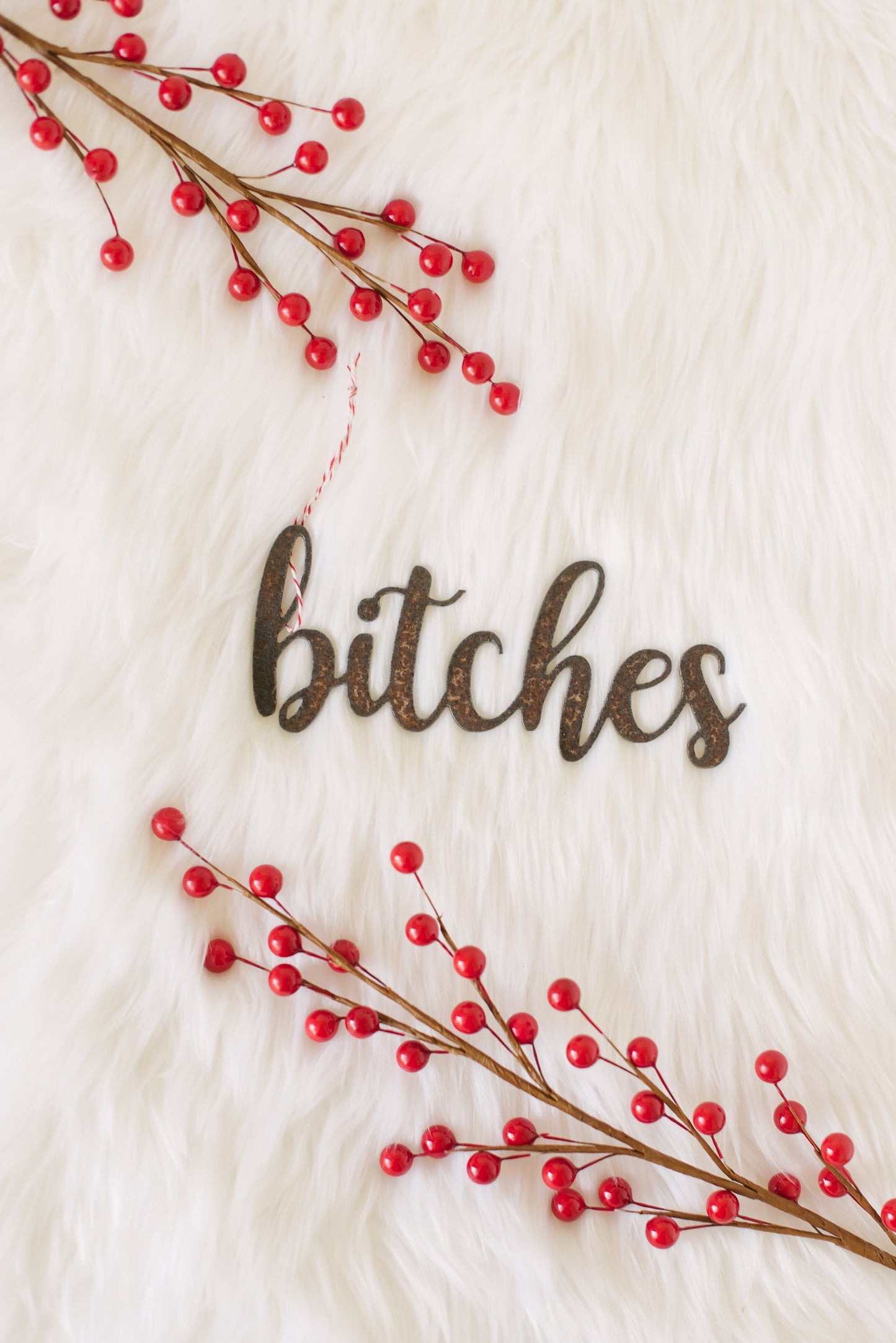 Mariposa Script Word Ornaments