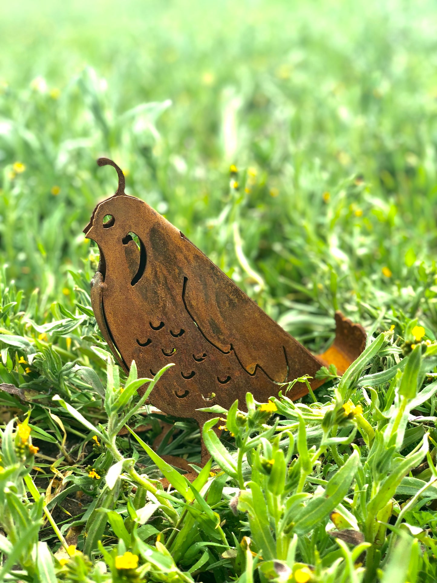 Metal 3D Quail