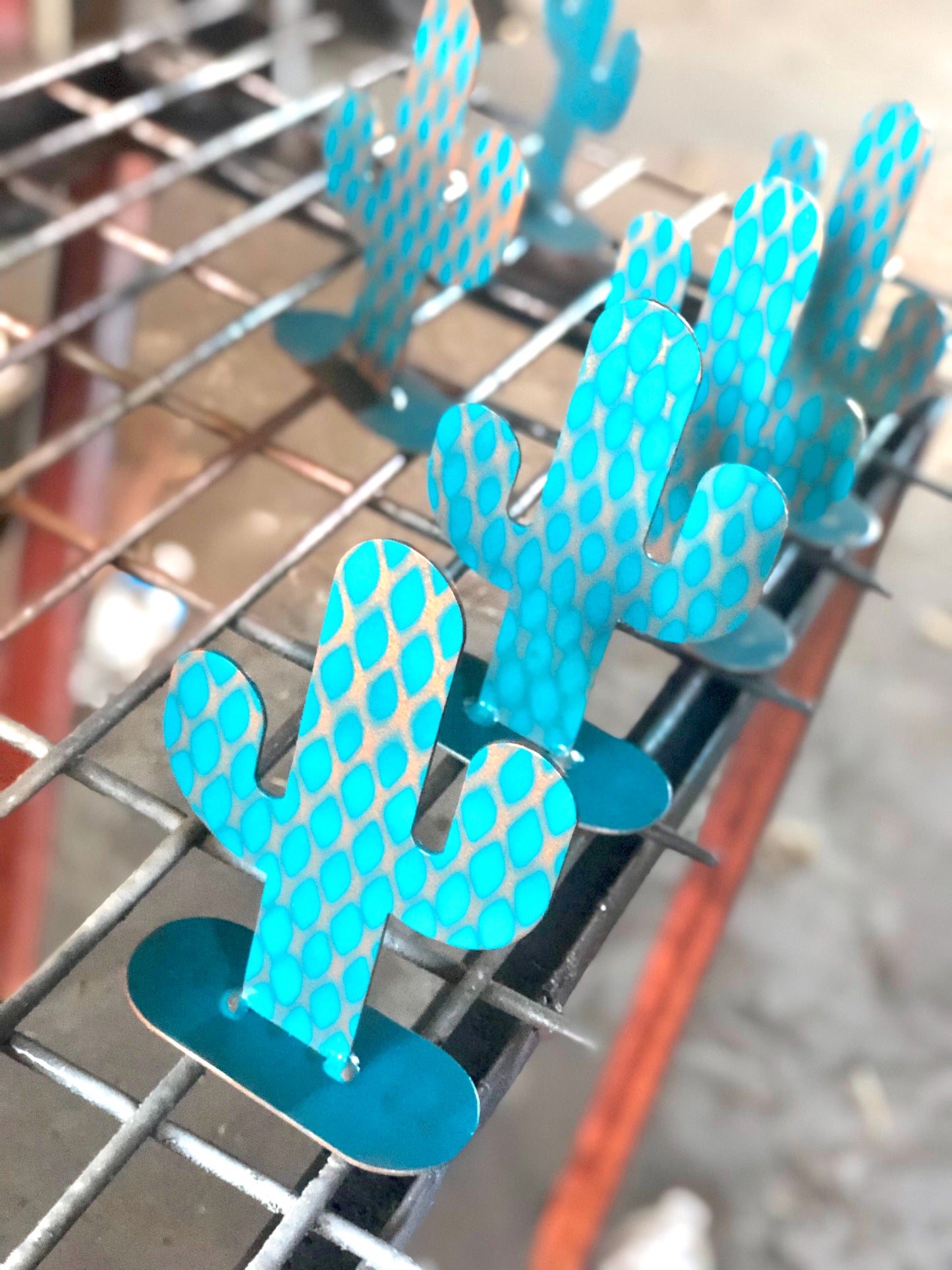 Saguaro Cactus Stand
