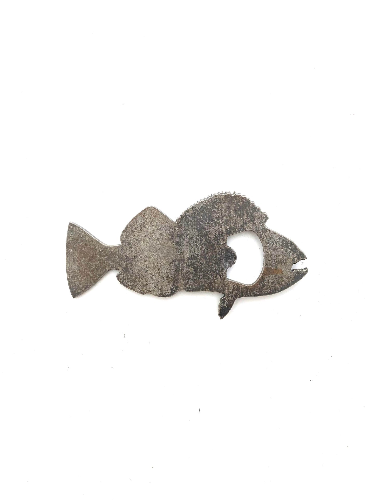 Lingcod Fish Metal Bottle Opener