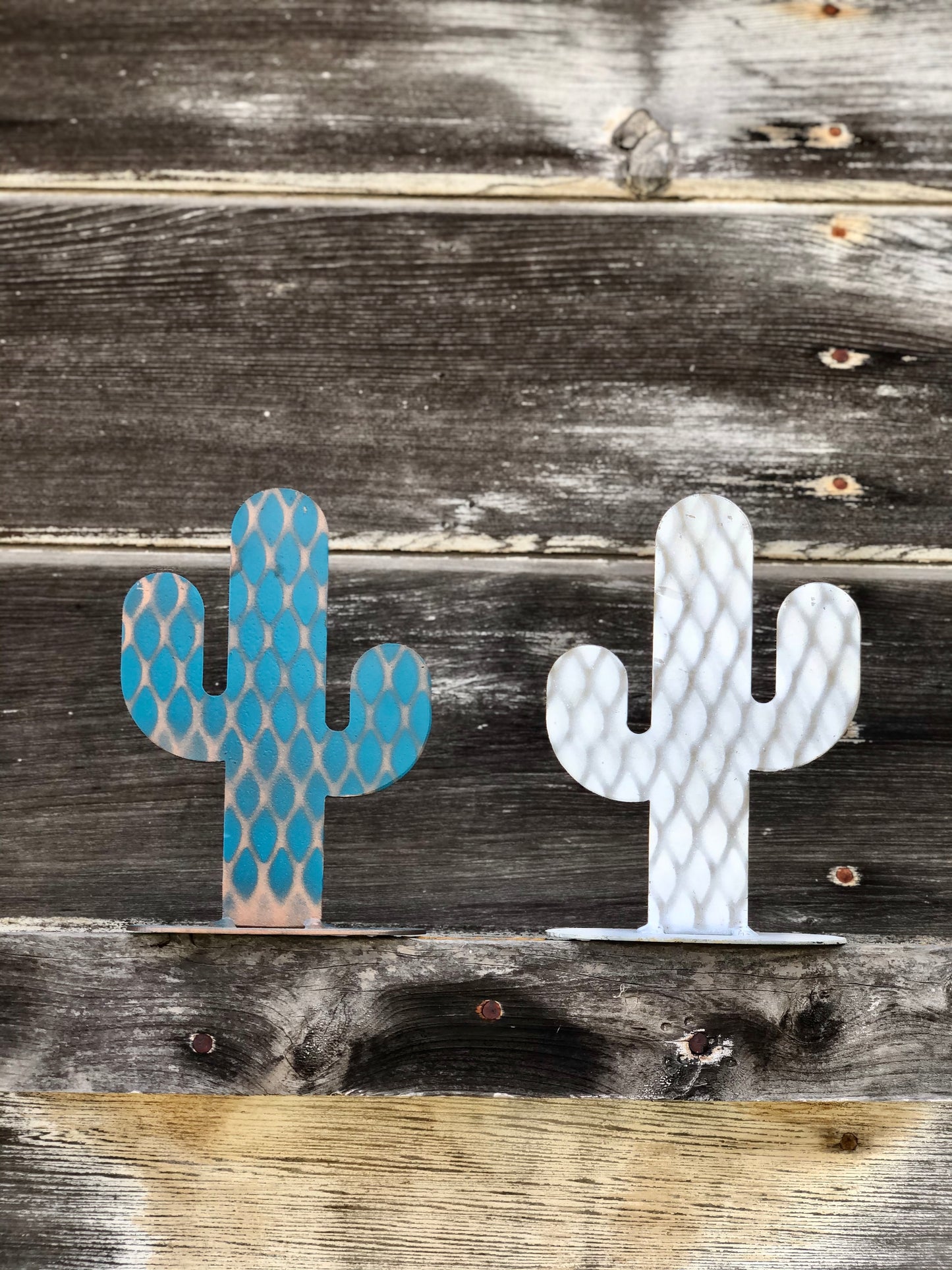 Saguaro Cactus Stamd