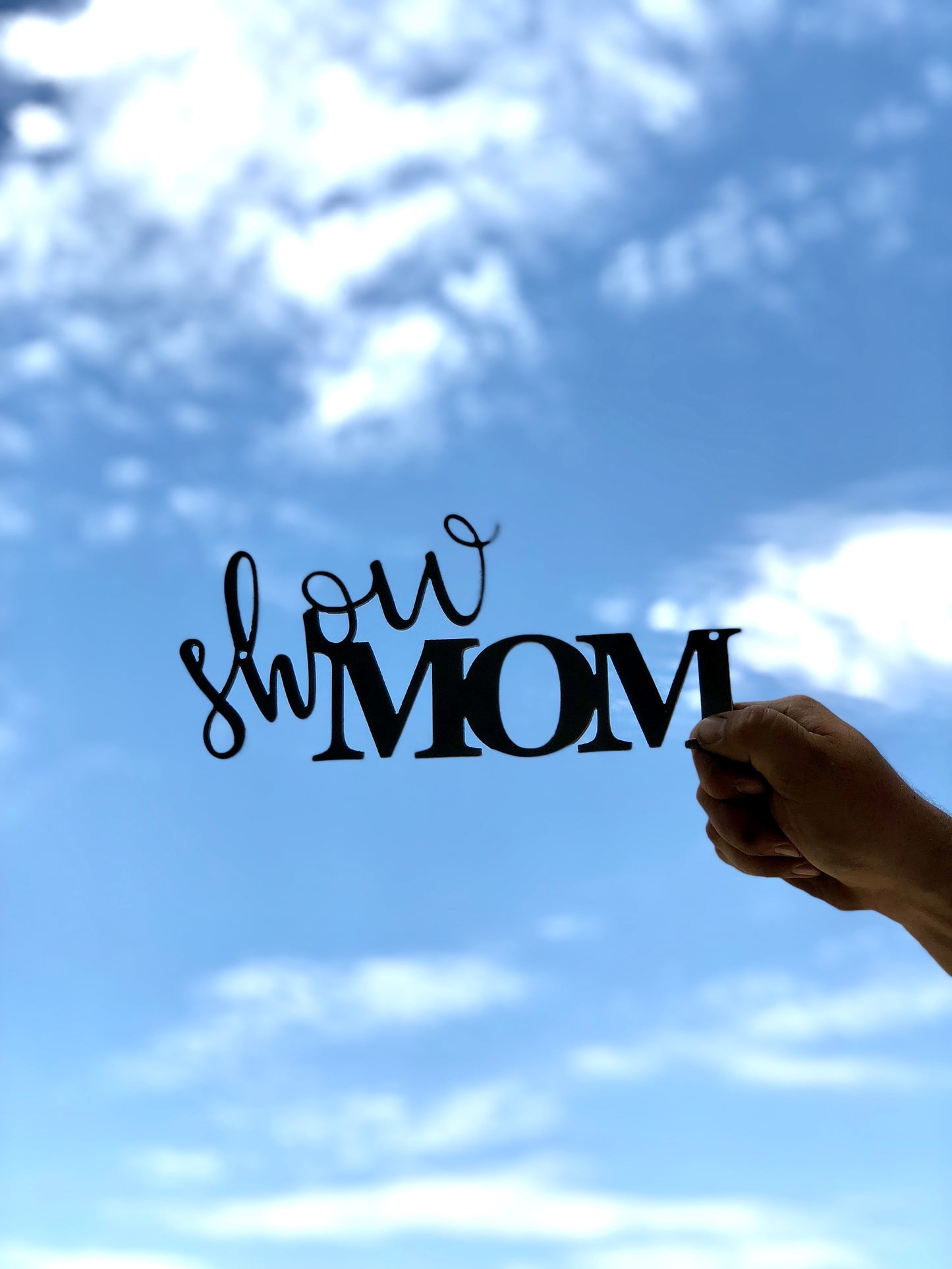 Show Mom Script Metal Word Wall Expressions