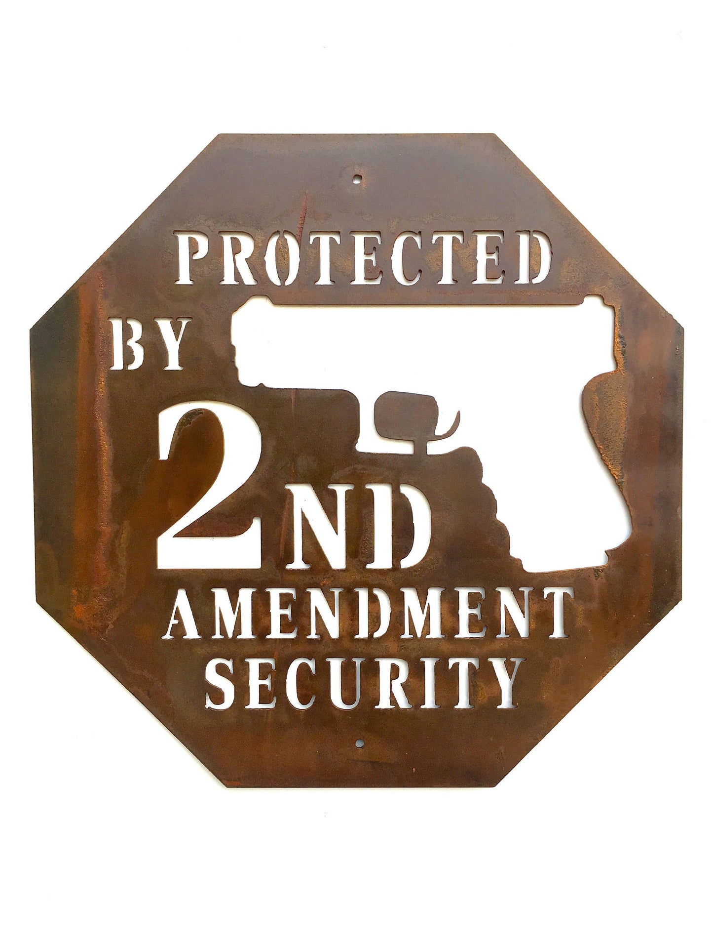 Protected by 2nd Amendment Security Metal Sign