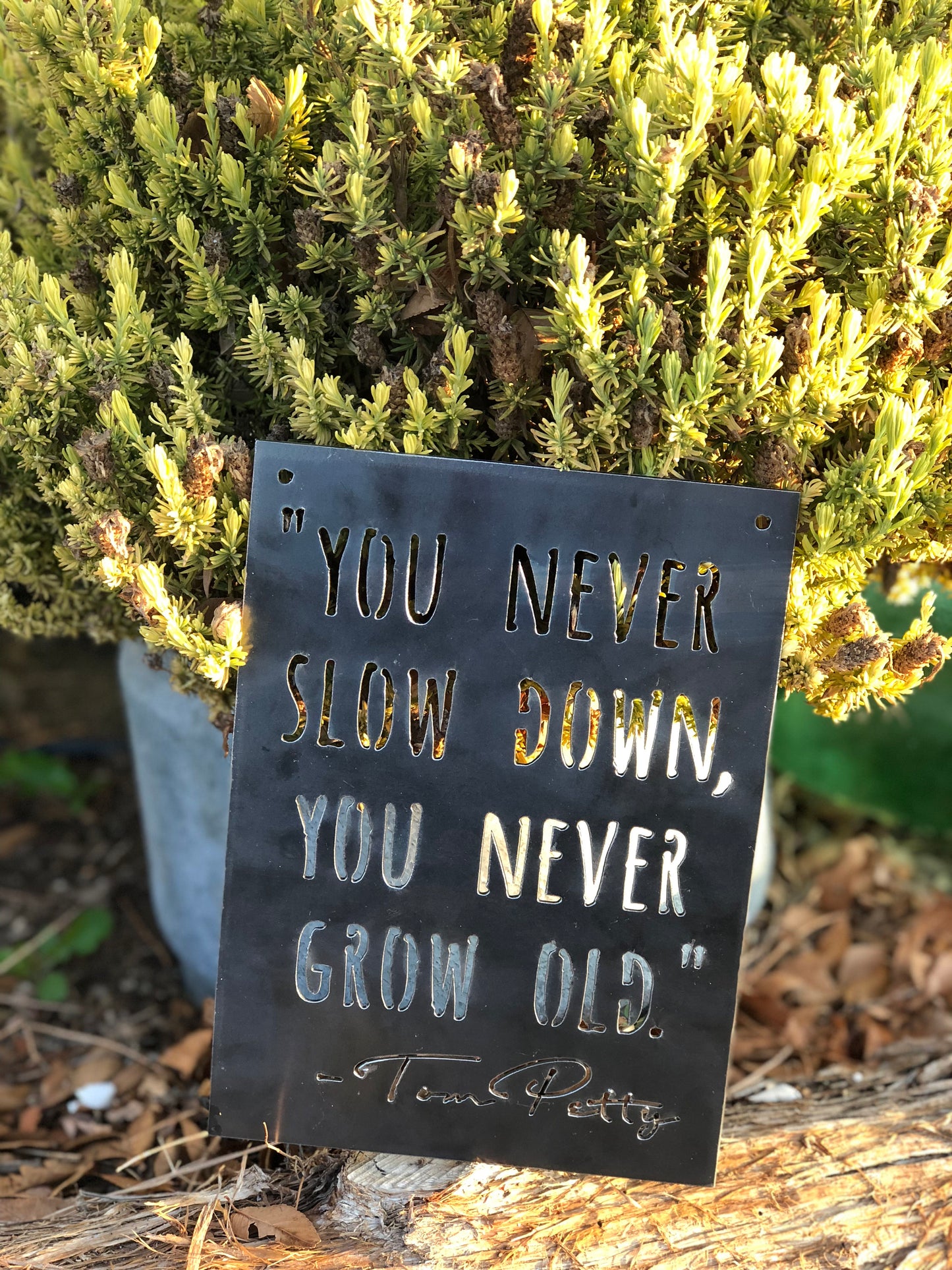 You Never Slow Down, You Never Grow Old." -Tom Petty Small Rectangular Metal Sign