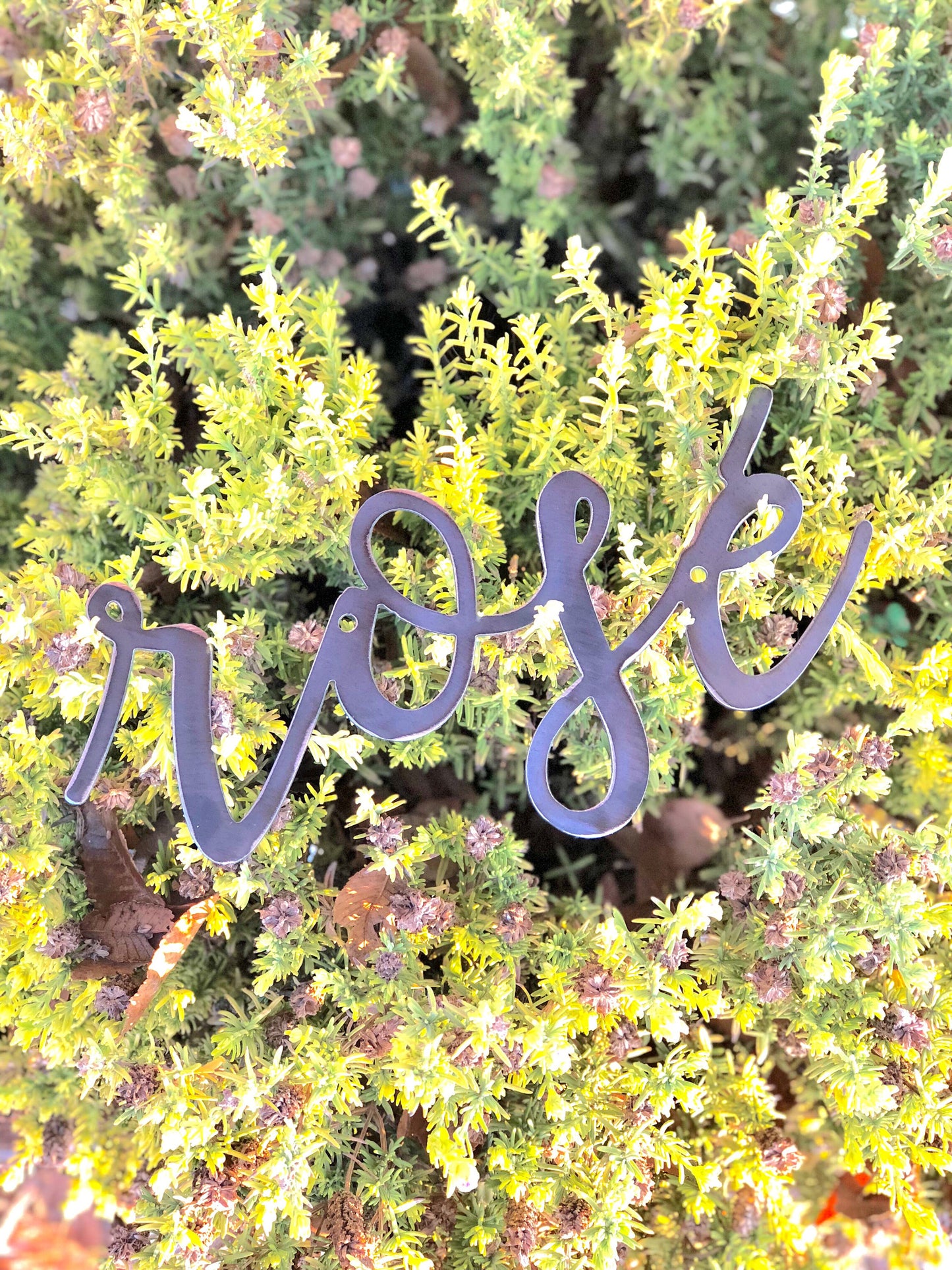 ROSE' Script Metal Word Wall Expressions