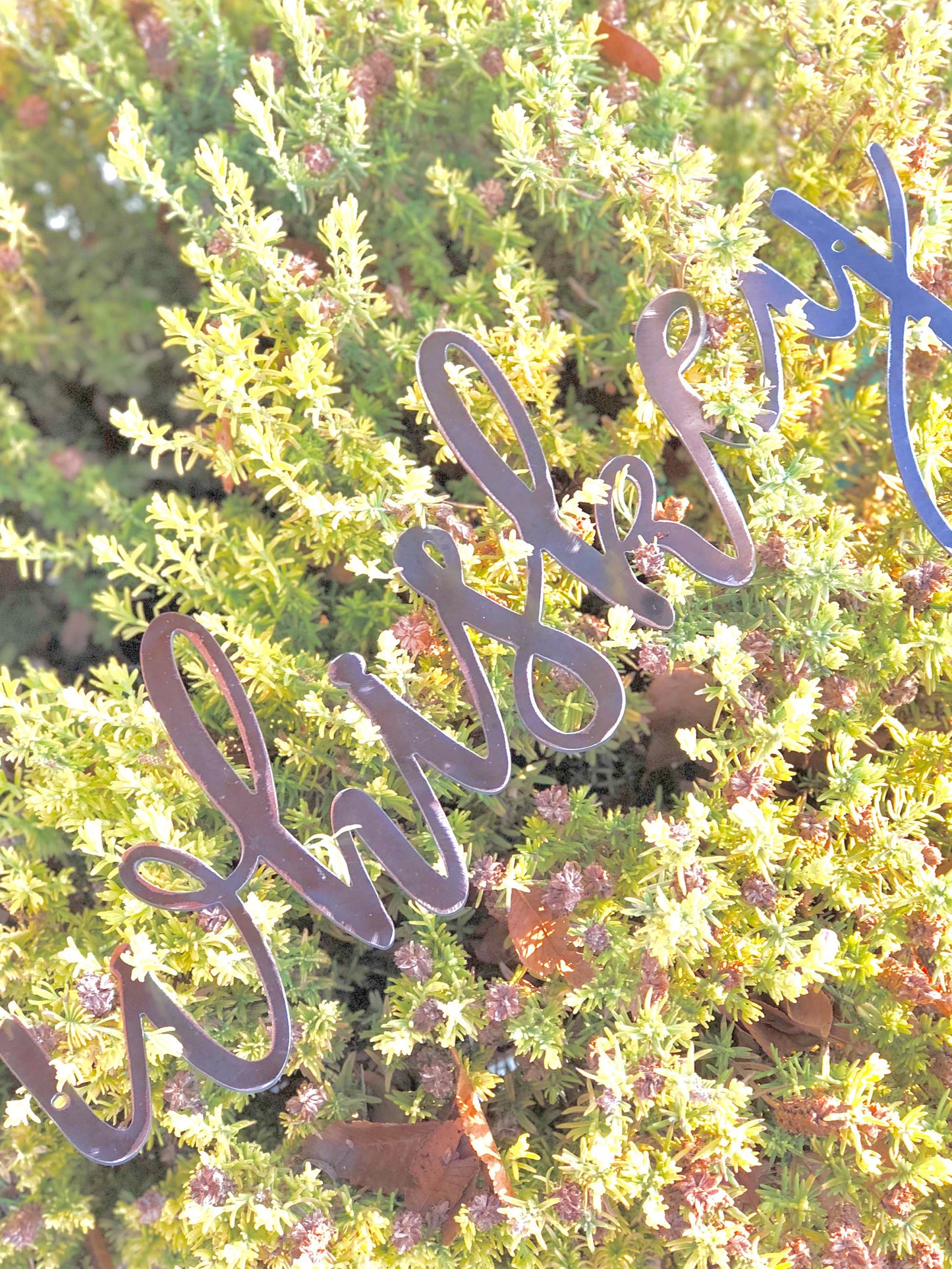 WHISKEY Script Metal Word Wall Expressions