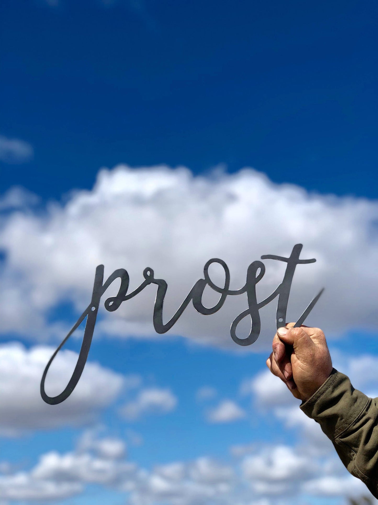 PROST Script Metal Word Wall Expressions