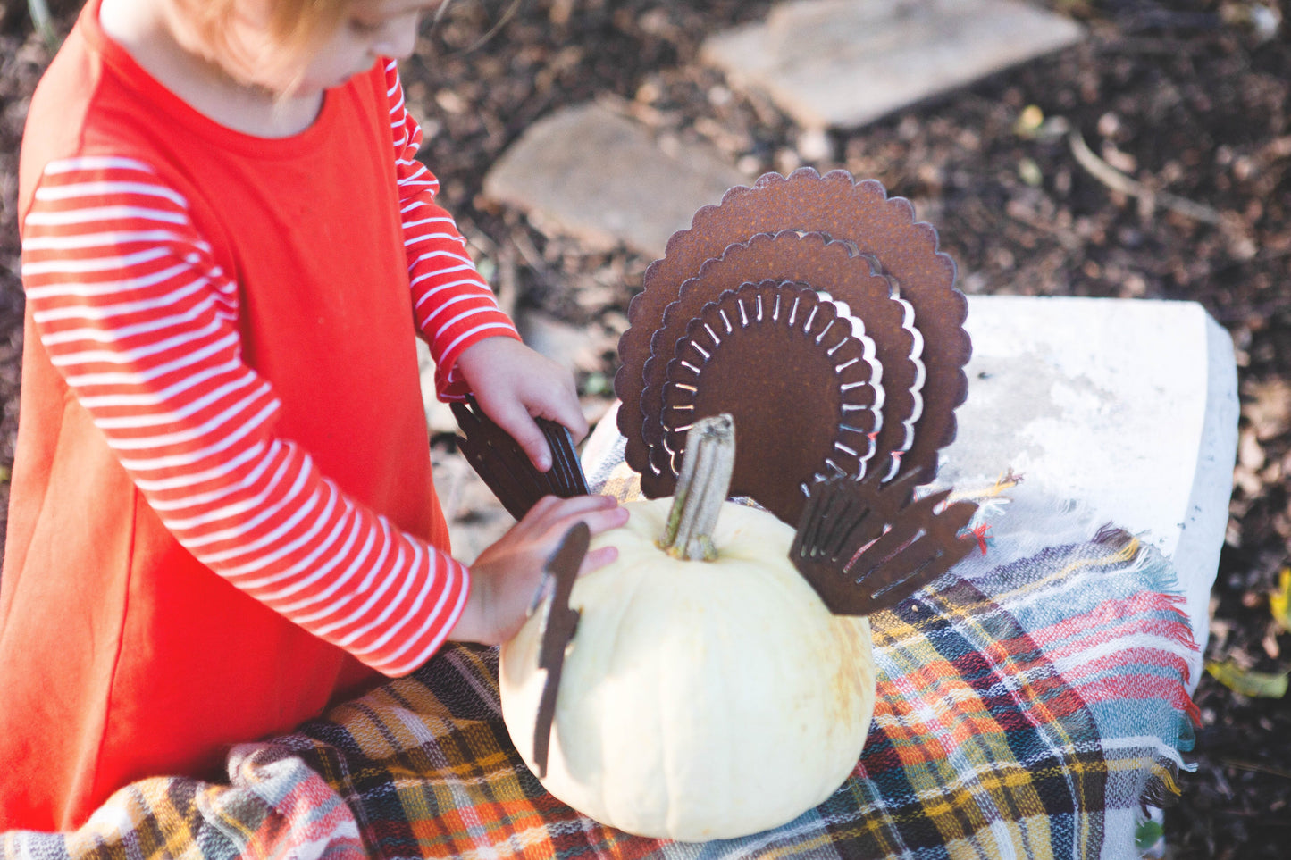 Pumpkin Turkey Pieces