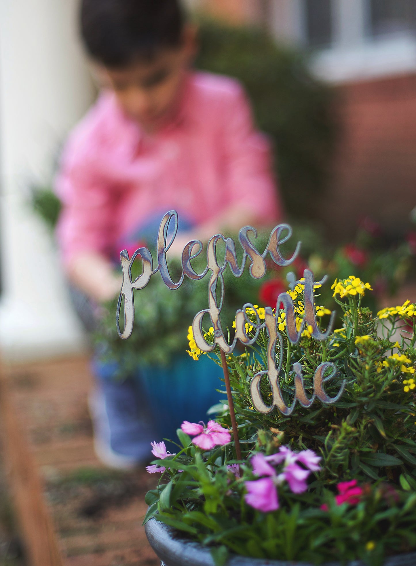 Plant Names Garden Labels