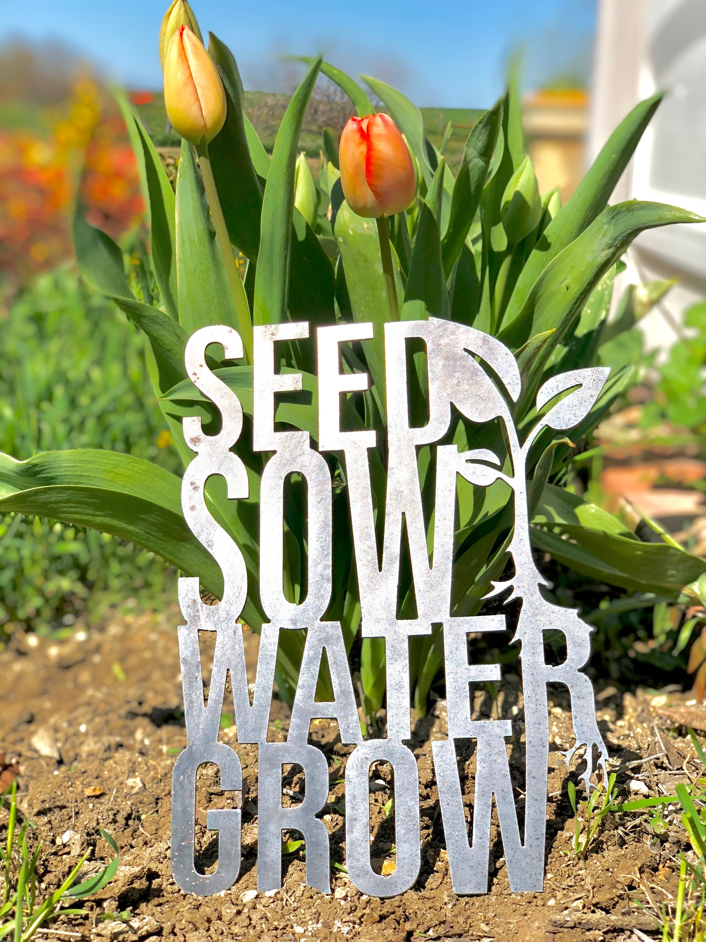 Seed Sow Water Grow Metal Sign