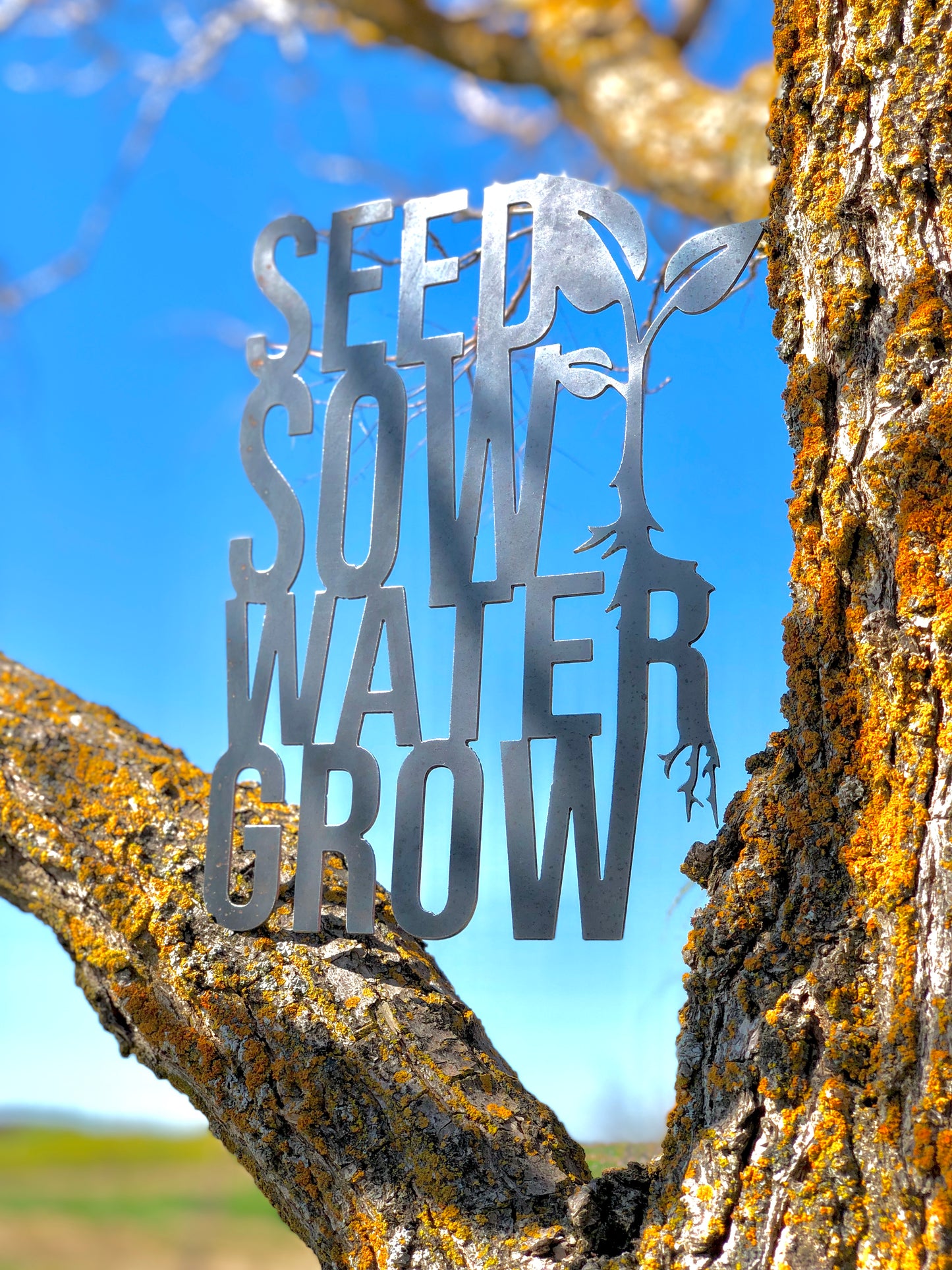 Seed Sow Water Grow Metal Sign