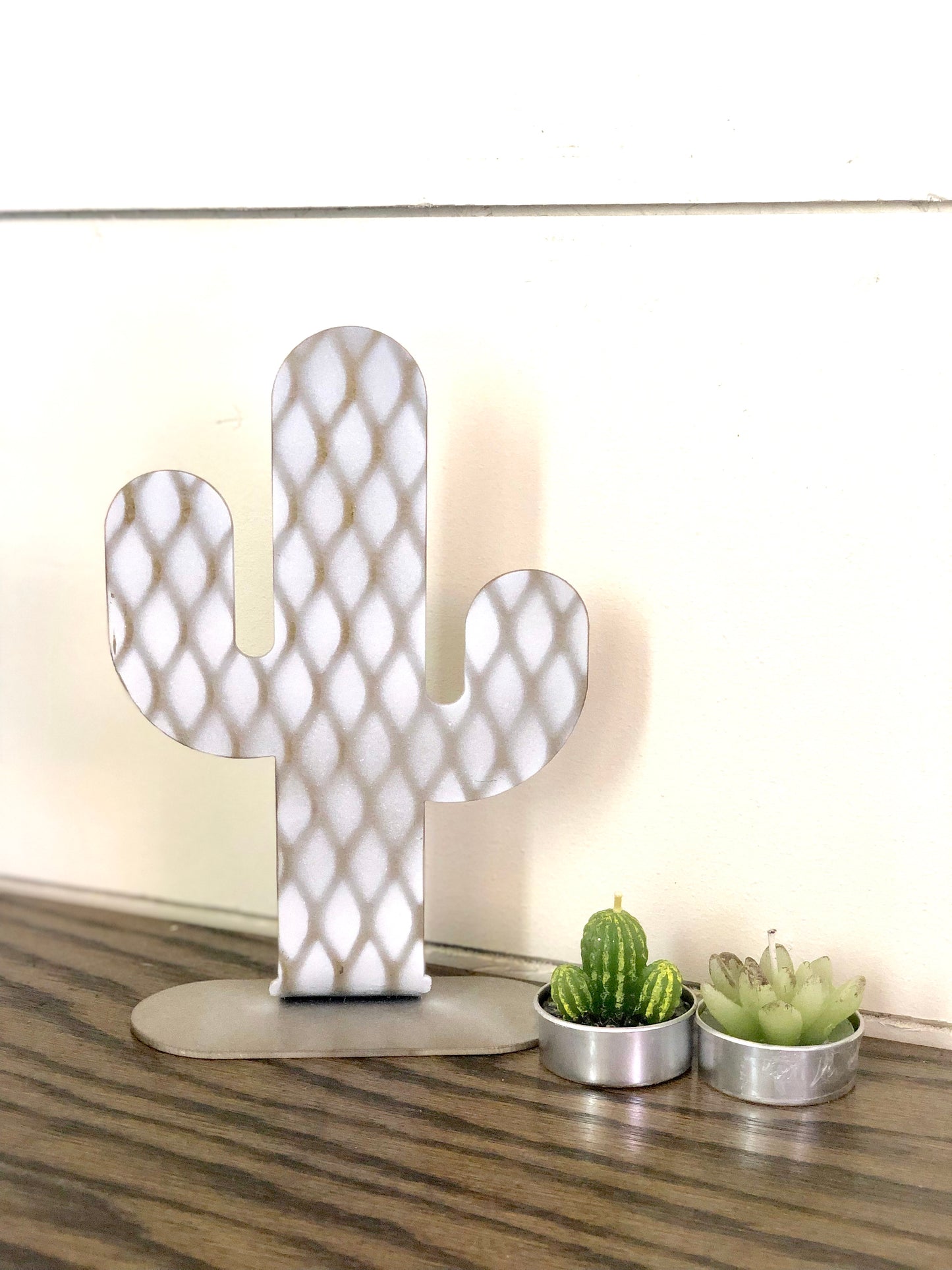 Saguaro Cactus Stand