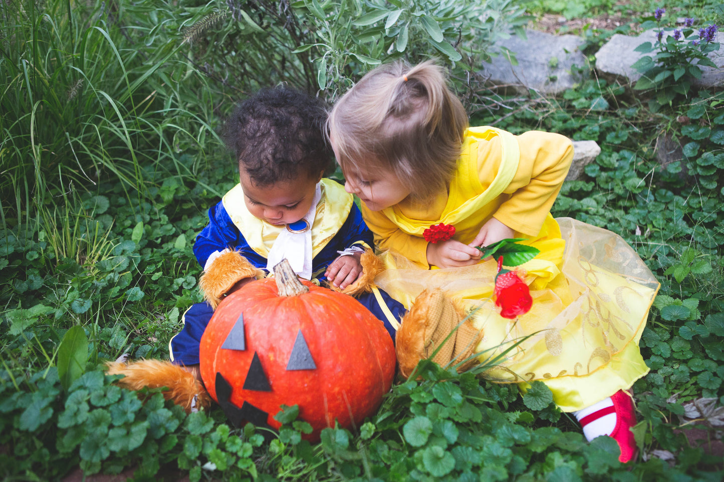 Pumpkin Jack-o-Lantern Pieces