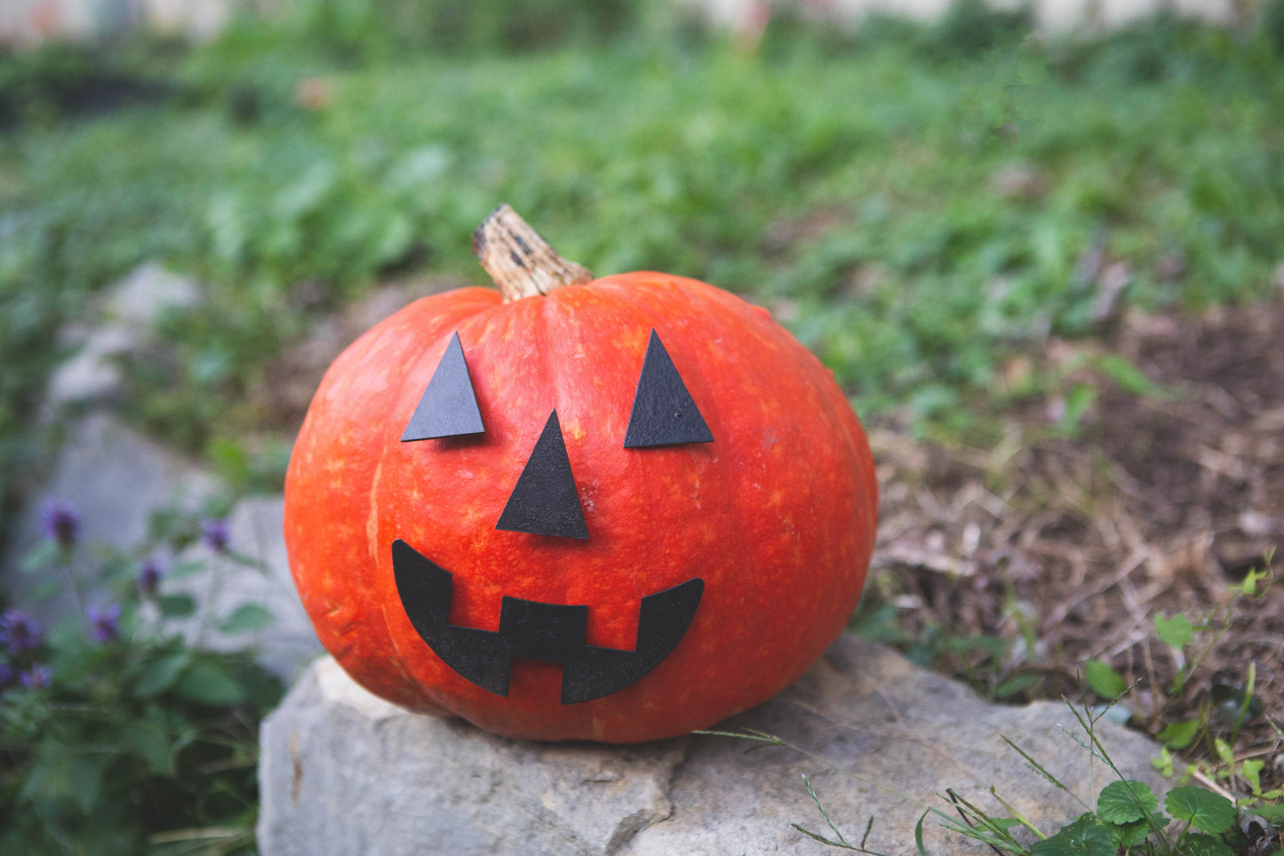 Pumpkin Jack-o-Lantern Pieces