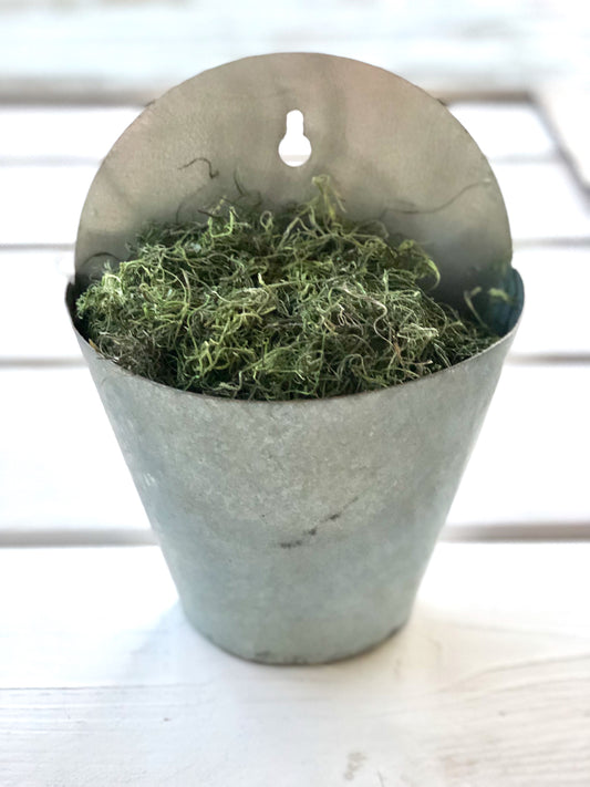 Galvanized Garden Bucket