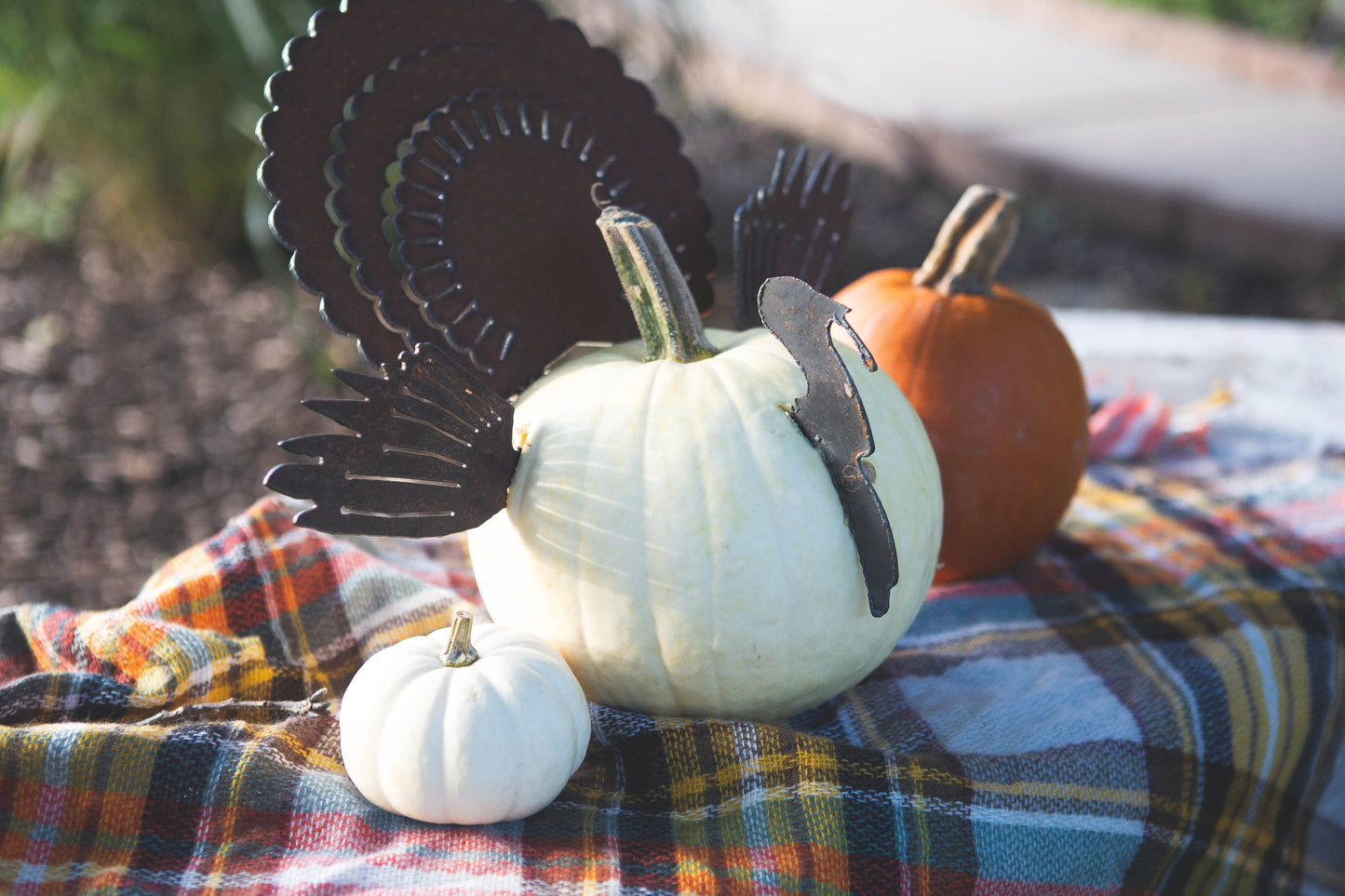 Pumpkin Turkey Pieces