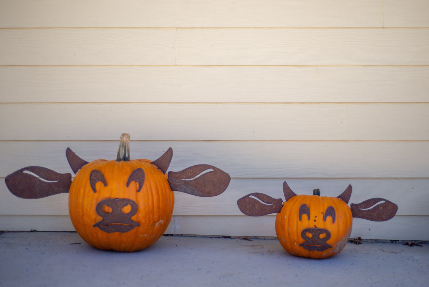 Pumpkin Cow Pieces